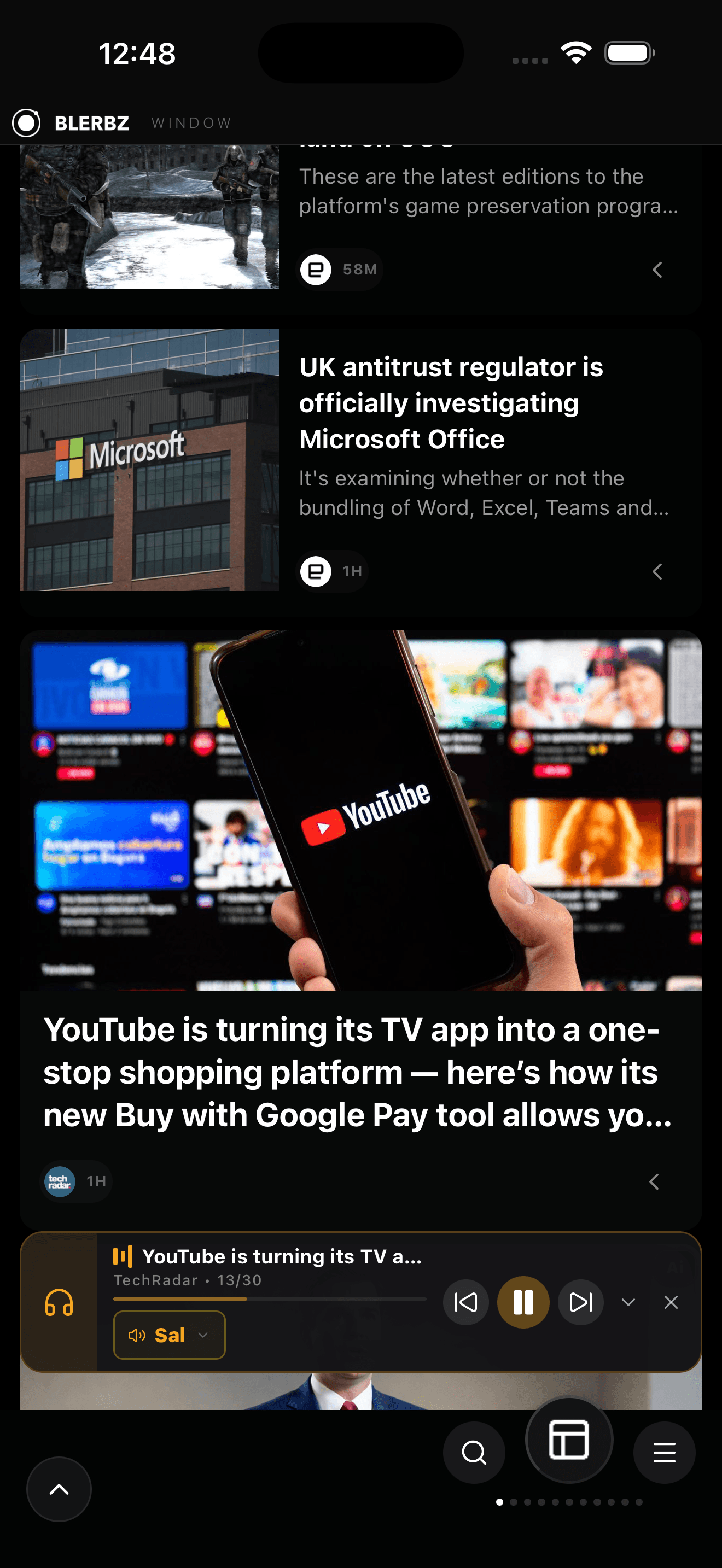 App Blerbz — feed Window