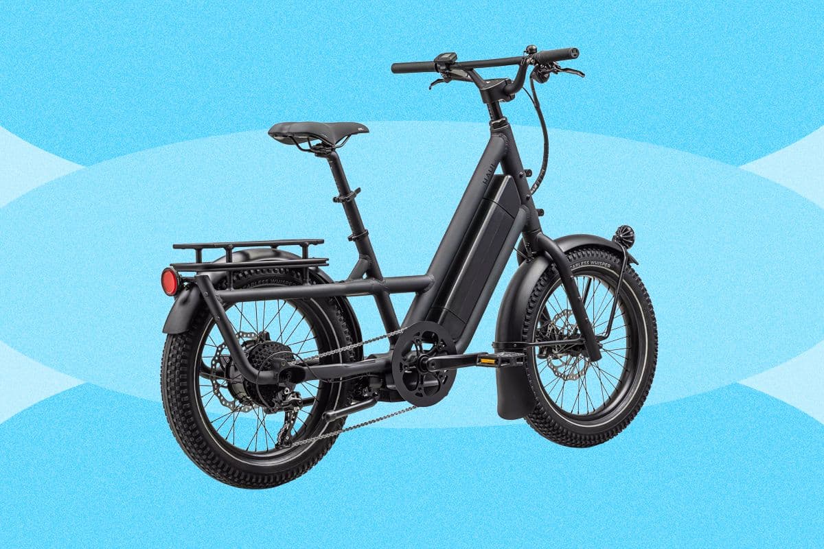 Best Electric Cargo Bikes (2026): Urban Arrow, Lectric, Tern, and More