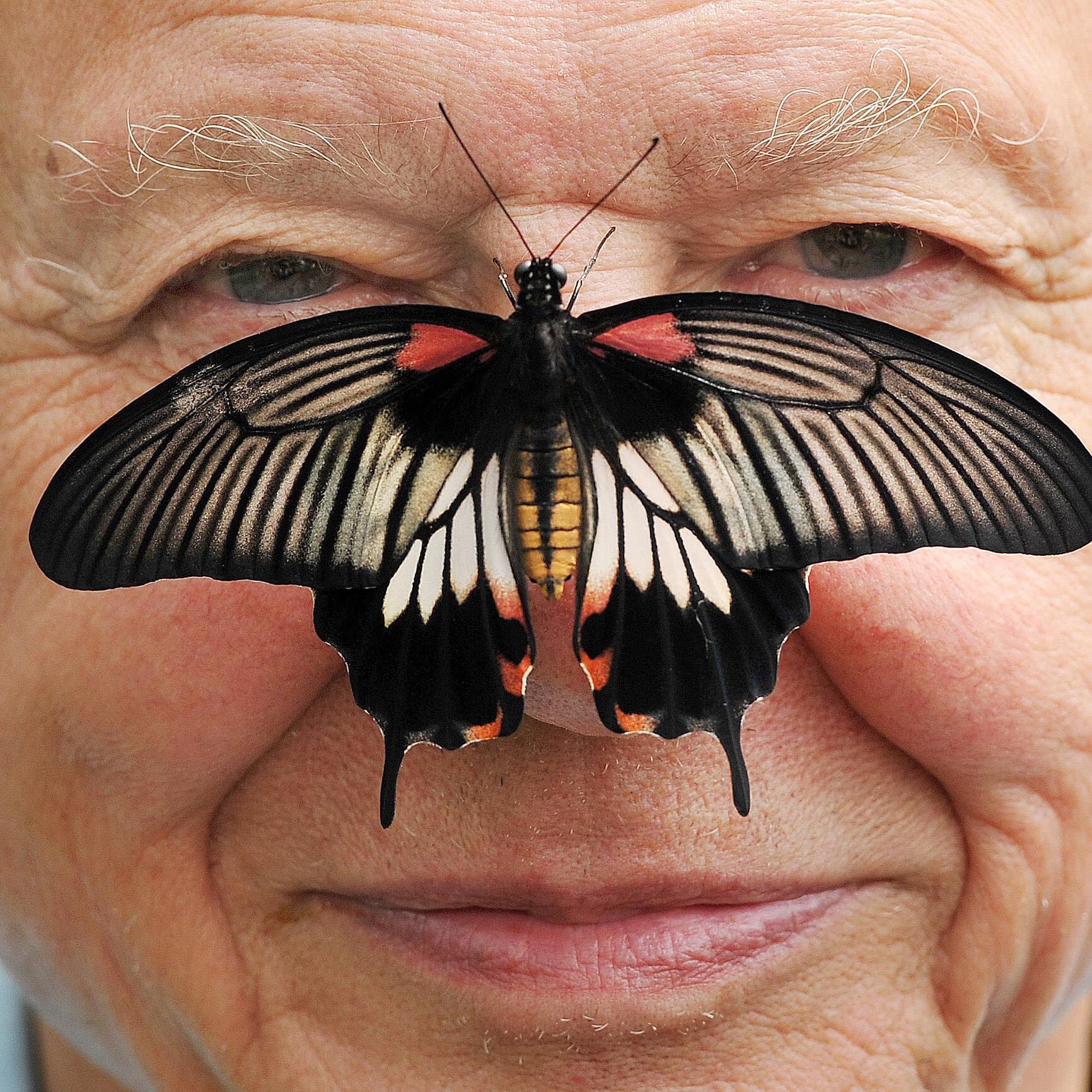 David Attenborough, a Voice of Nature, Turns 100